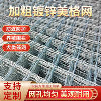 Heavy-Duty Galvanized Welded Wire Mesh Fence for Farm and Garden Security