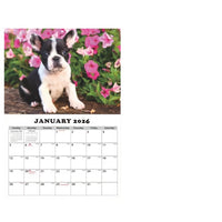 2025 Husky Puppy Wall Calendar A4 Size, 15 HD Pages