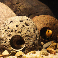 Natural Rock Cave Aquarium Decor for Breeding and Hiding