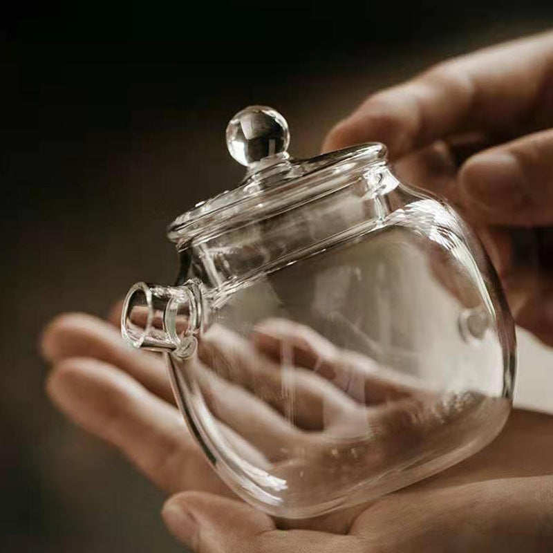 Mini Borosilicate Glass Teapot with Infuser, Japanese Style Small Personal Teapot