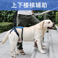 Pet Dog Rear Leg Support Harness for Injured Disabled Senior Dogs, Walking Aid for Stairs and Mobility