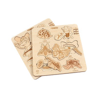 Montessori Wooden Life Cycle Puzzle Educational Toy for Kids