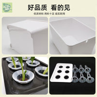 Hydroponic Growing System Indoor Soilless Planter Box for Home Gardening