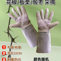 Cowhide Puncture-Resistant Gardening Gloves for Thorny Plants and Fruit Picking