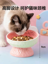 Ceramic Elevated Pet Bowl for Cats and Dogs - Neck Protection, Large Capacity Food and Water Dish