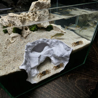 Acrylic Reptile Hideout House for Terrarium Landscaping, Small Size