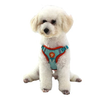 Pet Harness and Leash Set for Small to Medium Dogs - Suede Vest Style Dog Harness with Leash