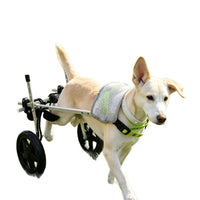 Pet Wheelchair for Disabled Dogs, Rehabilitation Walker for Hind Leg Support