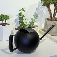 Spherical Stainless Steel Watering Can with Long Spout for Indoor & Outdoor Plants, 1000ml