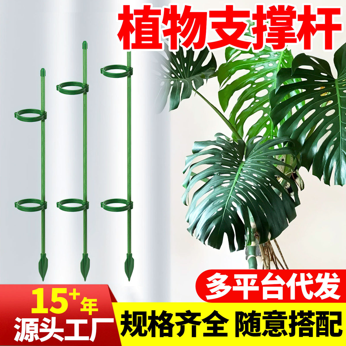Adjustable Plant Support Stakes for Potted Plants - Monstera, Climbing Vines, and Flowers