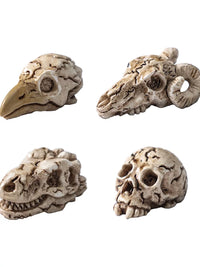 Mini Crow Skull Animal Terrarium DIY Decor Micro Landscape Aquarium Ornament Set