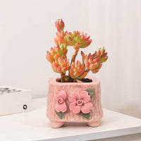 Handmade Ceramic Succulent Planter Pot with Breathable Design for Indoor Plants