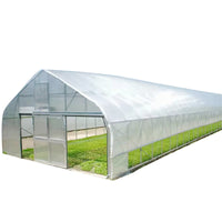 Single Arch Greenhouse Simple Tunnel Greenhouse Agricultural Breeding Shed Sunlight Greenhouse Flower Seedling Planting Warm Shed