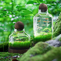 Japanese Style Thickened Glass Fish Tank with Wooden Base, Creative Ecological Bottle for Hydroponics