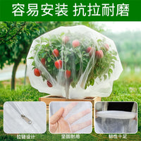 Fruit Tree Bird Net Cover for Cherry, Blueberry and Orchard Protection