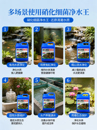Nitrifying Bacteria Water Purifier for Aquarium Fish Tank, Live Bacteria Water Clarifier and Stabilizer