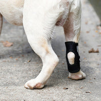 Pet Dog Leg Brace for Injury Recovery and Lick Prevention