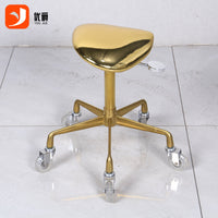 Hair Salon Swivel Stool with Wheels, Adjustable Hydraulic Barber Chair for Stylists