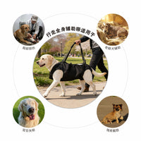 Pet Dog Lift Harness for Injured, Disabled, or Elderly Dogs - Support Sling for Rehabilitation and Mobility