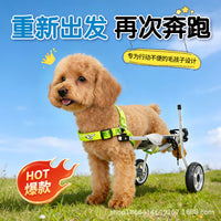 Pet Dog Wheelchair for Hind Leg Rehabilitation, Mobility Aid for Disabled Animals