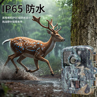 Mini Outdoor Trail Camera HD Infrared Night Vision Waterproof Surveillance Camera for Garden & Garage