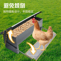 Automatic Treadle Chicken Feeder, Rainproof Anti-Theft Poultry Food Trough