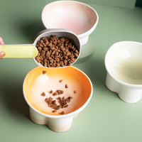 Elevated Ceramic Pet Bowl for Cats and Small Dogs, Tilted Design for Neck Protection, Anti-Vomit, Anti-Spill Food and Water Dish