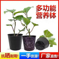 Disposable Thickened Plastic Nursery Pots for Seedling Cultivation