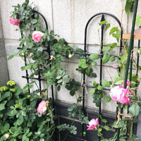 Garden Trellis for Climbing Plants, Rose, Clematis, Outdoor Fence Support