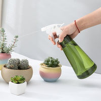 Indoor Plant Mister Spray Bottle for Watering and Cleaning, 750ml