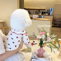 Pet Strawberry Print Undershirt for Small Dogs and Cats