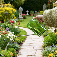 1000ml Stainless Steel Long Spout Watering Can for Garden and Indoor Plants