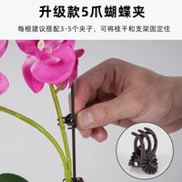 Orchid Plant Support Stakes with Clips for Potted Flowers and Gardening