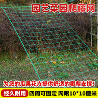 Heavy-Duty Plant Climbing Net for Passion Fruit, Loofah, and Other Vining Plants - Garden Trellis Netting for Fruits and Vegetables