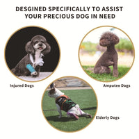 Dog Mobility Harness for Senior and Disabled Dogs - Support and Lift Aid