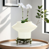Luxury Ceramic Planter with Saucer for Orchids and Green Plants