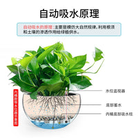 Self-Watering Hanging Planter Basket for Succulents & Greenery - Large Capacity Plastic Pot with Water Level Indicator