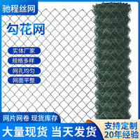 Galvanized Chain Link Fence for Orchard, Farm, Highway Slope Protection, and Mine Support