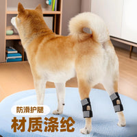 Adjustable Dog Rear Leg Brace for Joint Support and Recovery