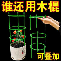 Garden Trellis for Climbing Plants, Rose Support, Potted Plant Stand