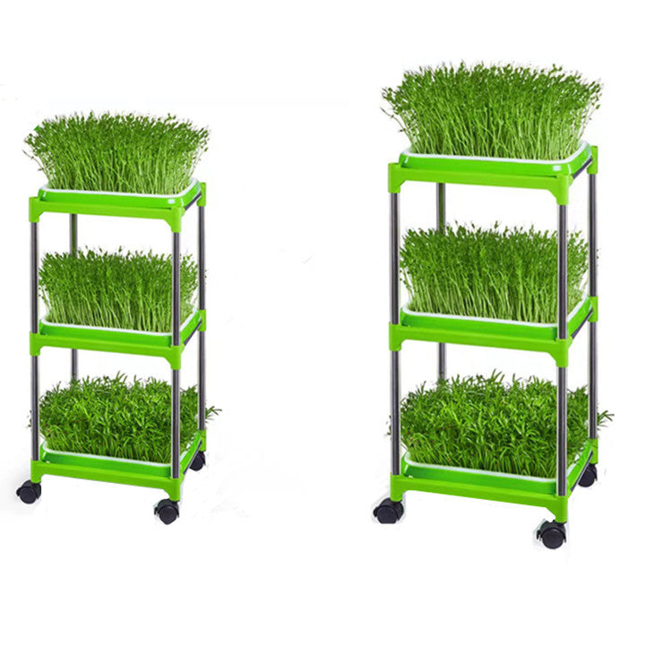 Hydroponic Seed Sprouting Tray Rack for Soilless Vegetable Cultivation