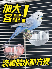 Parrot Feeder with Perch and Food Bowl for Small Birds