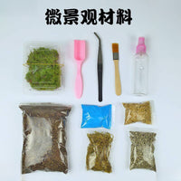DIY Moss Terrarium Kit with Sphagnum Moss and Nutrient Soil for Succulents and Plants