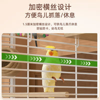 Large Transparent Splash-Proof Bird Cage for Parrots and Lovebirds with Breeding Box Option