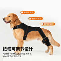 Dog Rear Leg Brace for Injury Support and Joint Protection