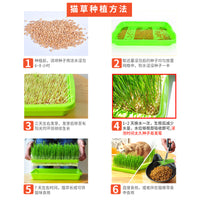 Hydroponic Seed Sprouting Tray with Lid for Home Gardening