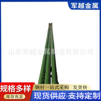 Plastic-Coated Steel Plant Support Stakes for Garden Trellis, 100-Pack