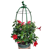 Garden Climbing Plant Support Trellis for Roses, Clematis, and Vines