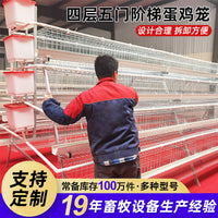 Galvanized Layer Hen Cage with Automatic Manure Removal and Feeding Trough, 3-4 Tiers