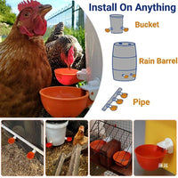 Automatic Poultry Waterer Drinking Bowl for Chickens Geese Pigeons